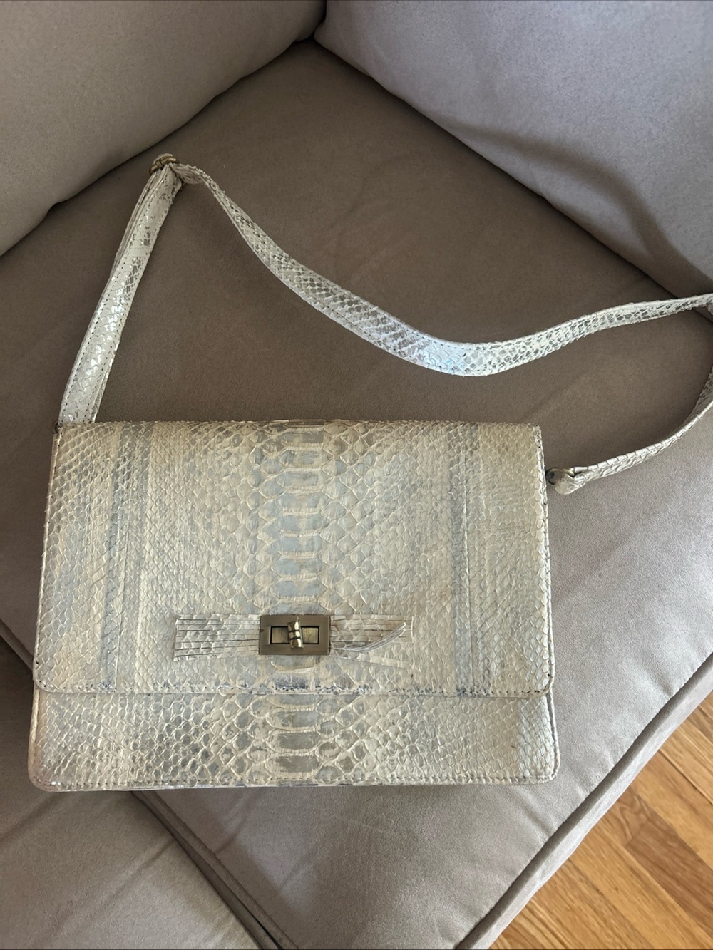 Metallic Python-Texture Crossbody Bag in Light Silver